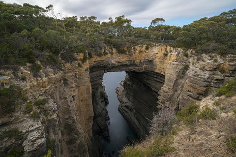 Cruise Ship Special From Port Arthur: Explore Tasman Peninsula With Free WiFi - Accommodation Gladstone 2