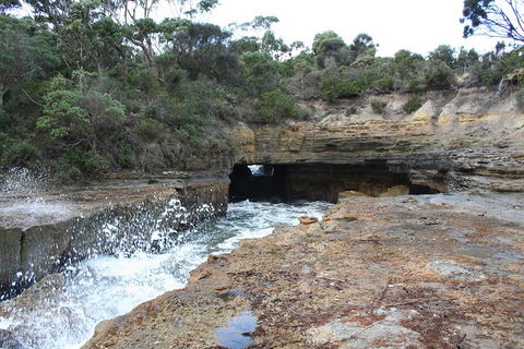 Cruise Ship Special From Port Arthur: Explore Tasman Peninsula With Free WiFi - Accommodation Gladstone 7