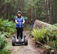 Hollybank Wilderness Adventures - Segway Tour - Accommodation Gladstone