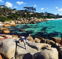 4-Day Tasmania East Coast Adventure from Launceston to Hobart Including Bay of Fires Wineglass Bay Bruny Island and Port Arthu - Accommodation Gladstone