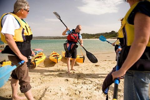 The Freycinet Paddle - Accommodation Gladstone 7