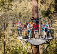 Hollybank Wilderness Adventure - Zipline Tours - Accommodation Gladstone