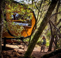 Blue Derby Pods Ride Experience 3-Day Mountain Bike Adventure in Exclusive Pods - Accommodation Gladstone