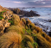 4-Day Tarkine Wilderness Photography Workshop - Accommodation Gladstone