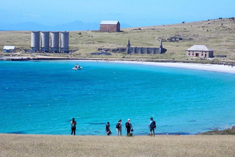 Private Maria Island Hiking Tour With Gourmet Lunch - Accommodation Gladstone 1
