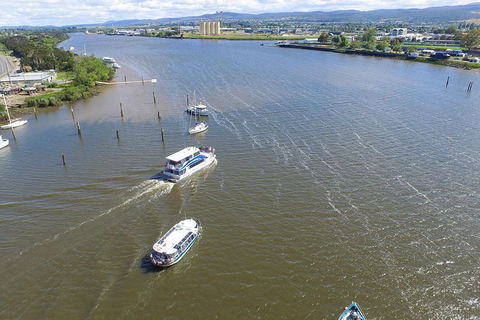 2.5 Hour Afternoon Discovery Cruise Including Cataract Gorge Departs At 1: 30 Pm - Accommodation Gladstone 0