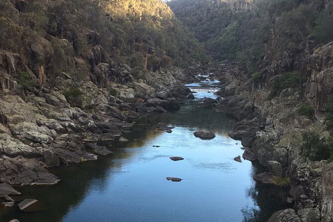 Launceston Cataract Gorge - Twilight, Wildlife, Local History Walking Tour. - Accommodation Gladstone 2