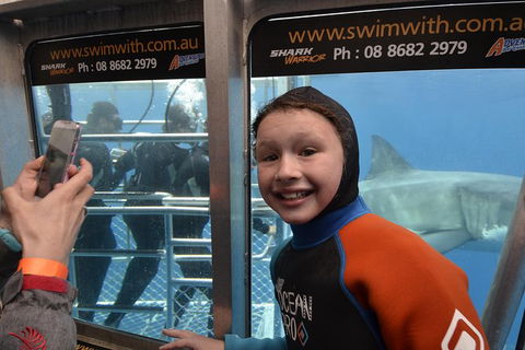 White Shark Tour With Optional Cage Dive From Port Lincoln - Accommodation Gladstone 8