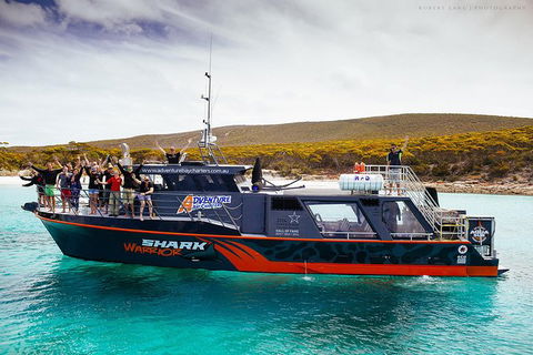 White Shark Tour With Optional Cage Dive From Port Lincoln - Accommodation Gladstone 7