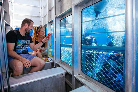 White Shark Tour With Optional Cage Dive From Port Lincoln - Accommodation Gladstone 4