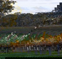 Barossa Valley with Hahndorf Tour from Adelaide - Accommodation Gladstone