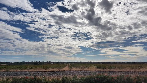 Barossa Valley Full-Day Tour From Adelaide With Maggie Beer Farm - Accommodation Gladstone 3