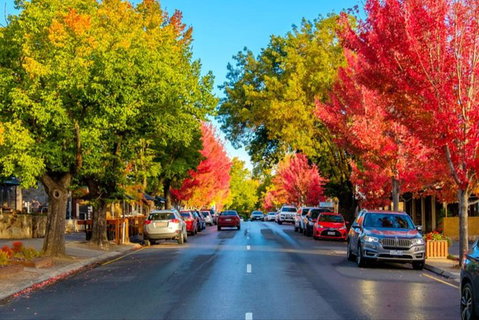 Barossa Valley Full-Day Tour From Adelaide With Maggie Beer Farm - Accommodation Gladstone 6