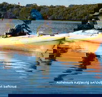 Adelaide Dolphin Sanctuary and Ships Graveyard Kayak Tour - Accommodation Gladstone