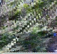 Self-Guided Waterfall Gully to Mount Lofty Hike from Adelaide - Accommodation Gladstone