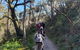 Mount Lofty Hike And Cleland Wildlife Park Day Trip From Adelaide - thumb 0
