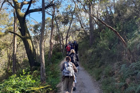 Mount Lofty Hike And Cleland Wildlife Park Day Trip From Adelaide - Accommodation Gladstone 0
