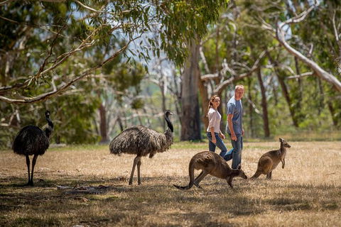 Mount Lofty Hike And Cleland Wildlife Park Day Trip From Adelaide - Accommodation Gladstone 3