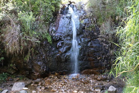 Mount Lofty Hike And Cleland Wildlife Park Day Trip From Adelaide - Accommodation Gladstone 7