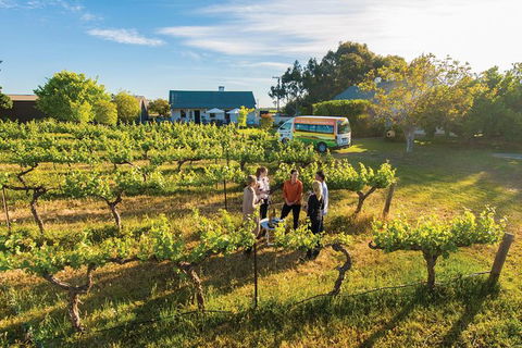 Barossa Valley Highlights From Adelaide Including Wine And Cheese Tasting - Accommodation Gladstone 14