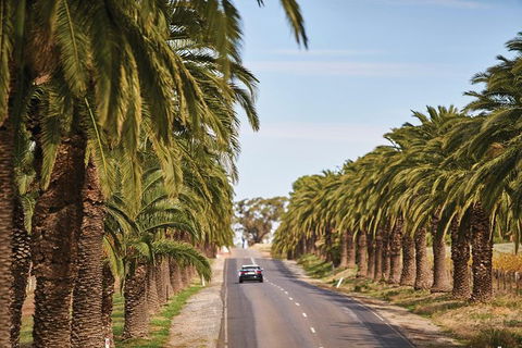 Barossa Valley Highlights From Adelaide Including Wine And Cheese Tasting - Accommodation Gladstone 3