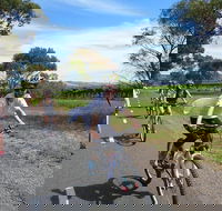 McLaren Vale Wine Tour by Bike - Accommodation Gladstone