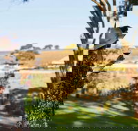Micro-Group McLaren Vale Wine Tour from Adelaide - Accommodation Gladstone