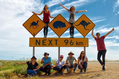 10-Day Adelaide To Perth Adventure Tour - Accommodation Gladstone 1
