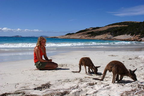10-Day Adelaide To Perth Adventure Tour - Accommodation Gladstone 0