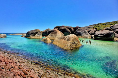 10-Day Adelaide To Perth Adventure Tour - Accommodation Gladstone 7