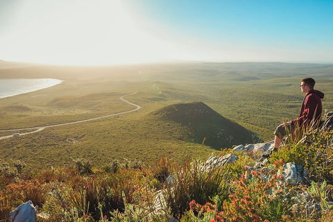 10-Day Adelaide To Perth Adventure Tour - Accommodation Gladstone 8