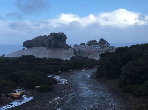 2-Day Kangaroo Island Tour From Adelaide - Accommodation Gladstone 20