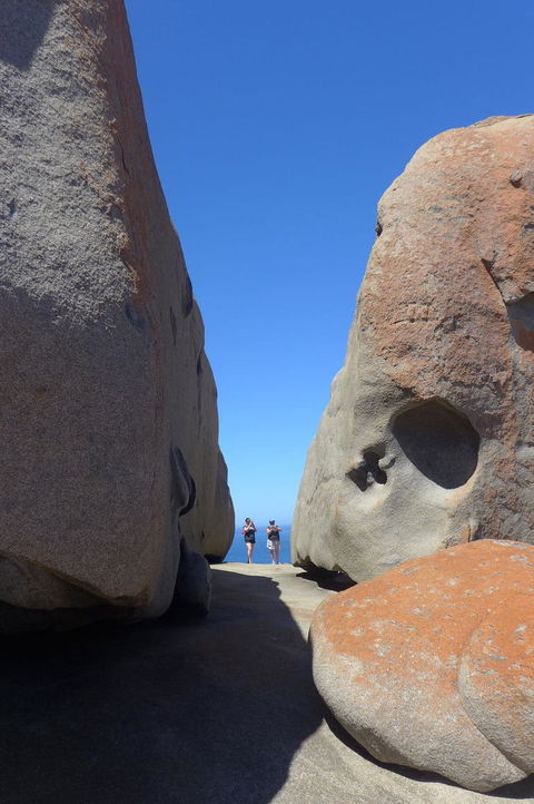 2-Day Kangaroo Island Tour From Adelaide - Accommodation Gladstone 7