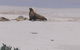 2-Day Kangaroo Island Tour From Adelaide - thumb 21