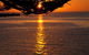 2-Day Kangaroo Island Tour From Adelaide - thumb 14