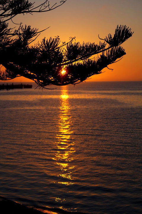 2-Day Kangaroo Island Tour From Adelaide - Accommodation Gladstone 14