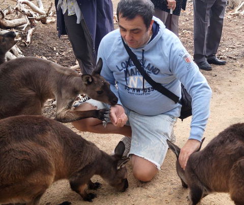 2-Day Kangaroo Island Tour From Adelaide - Accommodation Gladstone 15