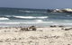 2-Day Kangaroo Island Tour From Adelaide - thumb 4