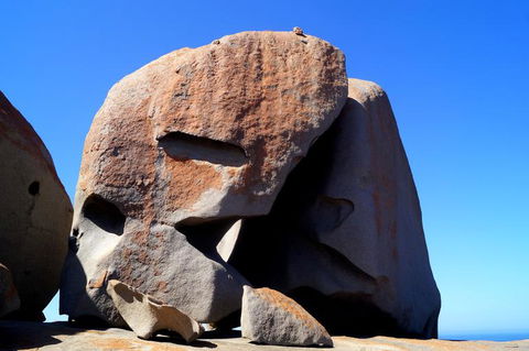 2-Day Kangaroo Island Tour From Adelaide - Accommodation Gladstone 11