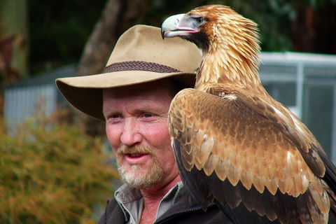 Kangaroo Island Wildlife Day Trip From Adelaide Including Seal Bay - Accommodation Gladstone 0