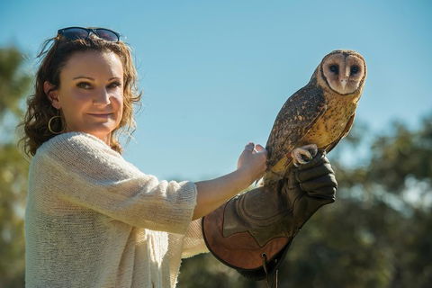 Kangaroo Island Wildlife Day Trip From Adelaide Including Seal Bay - Accommodation Gladstone 1