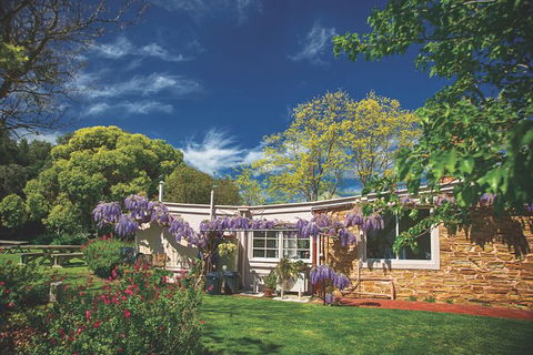McLaren Vale Winery Small Group Tour With Wine Tasting And Lunch - Accommodation Gladstone 5