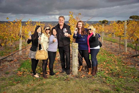 McLaren Vale Winery Small Group Tour With Wine Tasting And Lunch - Accommodation Gladstone 2