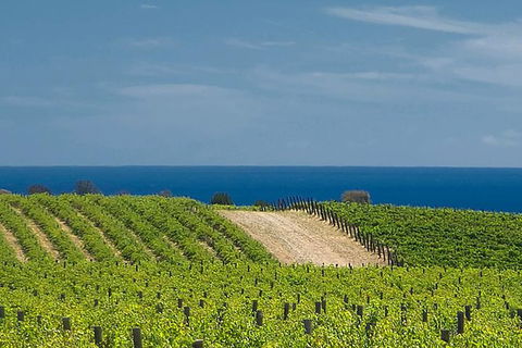 McLaren Vale Winery Small Group Tour With Wine Tasting And Lunch - Accommodation Gladstone 7