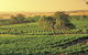 Barossa Valley: Behind The Scenes Private Tour - thumb 1