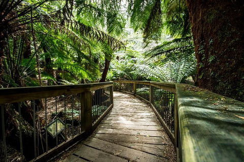 3-Day Adelaide To Melbourne Overland Trip Through Grampians And Great Ocean Road - Accommodation Gladstone 13