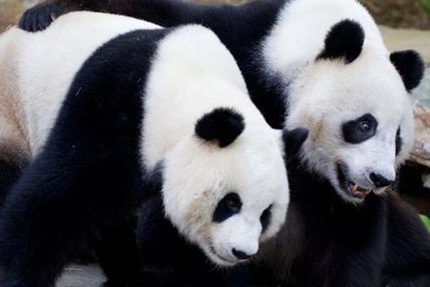 Adelaide City Tour With Optional River Cruise And Adelaide Zoo Admission - Accommodation Gladstone 1