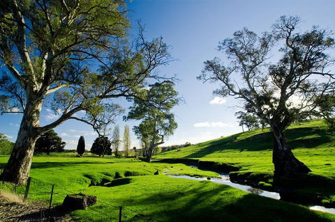 Adelaide Highlights And Hahndorf Tour With Optional River Cruise - Accommodation Gladstone 0