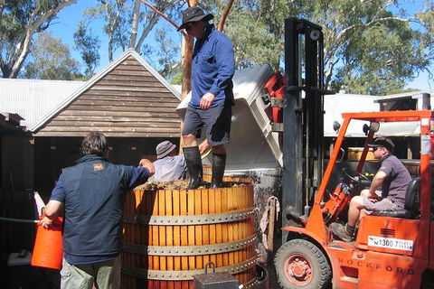 Barossa Valley Intimate Winery Tour Via Adelaide Hills By Private Limo - Accommodation Gladstone 6