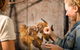 Adelaide Zoo Behind The Scenes Experience: Meet The Primates - thumb 0